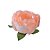 Forminha para Doces Finos - Bela Chá - 30 unidades - Decora Doces - Rizzo - Imagem 1
