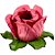 Forminha para Doces Finos - Rainha Rosa Seco 2 - 40 unidades - Decora Doces - Rizzo Festas - Imagem 1