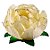 Forminha para Doces Finos - Bela Marfim - 30 unidades - Decora Doces - Rizzo - Imagem 1