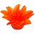 Forminha Para Doces Finos - Estrela do Mar Laranja - 20 unidades - Decora Doces - Rizzo - Imagem 1