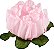 Forminha para Doces Finos - Rosa Maior Rosa Bebe 40 unidades - Decora Doces - Rizzo Festas - Imagem 1