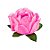 Forminha para Doces Finos - Rosa Maior Salmão 40 unidades - Decora Doces - Imagem 1