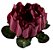 Forminha para Doces Finos - Rosa Maior Marsala 40 unidades - Decora Doces - Imagem 1