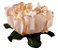 Forminha para Doces Finos - Rosa Maior Creme Queimado 40 unidades - Decora Doces - Rizzo Festas - Imagem 1