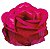 Forminha para Doces Finos - Magnólia Pink - 30 unidades - Decora Doces - Rizzo Festas - Imagem 1