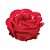 Forminha para Doces Finos - Magnólia Coral - 30 unidades - Decora Doces - Imagem 1