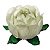 Forminha para Doces Finos - Bela Verde Antigo - 40 unidades - Decora Doces - Rizzo Festas - Imagem 1