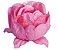 Forminha Flor - Rosa - Bela Tela Chá Rosa - 30 UN - Decora Doces - Rizzo - Imagem 1