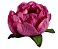 Forminha para Doces Finos - Bela Rose 40 unidades - Decora Doces - Rizzo Festas - Imagem 1
