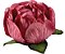 Forminha para Doces Finos - Bela Rosa Seco 2  40 unidades - Decora Doces - Rizzo Festas - Imagem 1