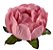 Forminha para Doces Finos - Bela Rosa Seco 1  40 unidades - Decora Doces - Rizzo Festas - Imagem 1