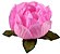 Forminha para Doces Finos - Bela Rosa Claro 40 unidades - Decora Doces - Rizzo Festas - Imagem 1