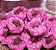 Forminha para Doces Finos - Bela Rosa Claro 40 unidades - Decora Doces - Rizzo Festas - Imagem 2