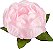 Forminha para Doces Finos - Bela Rosa Bebe 40 unidades - Decora Doces - Rizzo Festas - Imagem 1