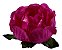 Forminha para Doces Finos - Bela Pink 40 unidades - Decora Doces - Imagem 1