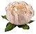 Forminha para Doces Finos - Bela Creme Queimado 40 unidades - Decora Doces - Imagem 1
