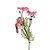 Haste Flor Permanente - Margarida Real Flocked - Rosa - 63cm - 1 unidade - FlorArte - Rizzo - Imagem 1