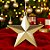 Enfeite para Pendurar de Natal - Estrela Ouro - 12x12x2cm - 1 unidade - Cromus - Rizzo - Imagem 1