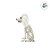 Enfeite Decorativo de Halloween - Esqueleto Cachorro Poodle - 25x8,5cm  - 1 unidade - Cromus - Rizzo - Imagem 4