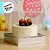 Caixa Para Bolo PVC Base Prata - 17x17x20,5cm - 5 unidades - Assk - Rizzo - Imagem 4