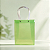 Sacola Transparente PVC com Alça de Fibra - Verde - 24,5x19,5x9,5cm - 1 unidade - Rizzo - Imagem 1