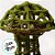 Cogumelo Decorativo Verde - 18x18x25cm - 1 unidade - Cromus - Rizzo - Imagem 2