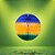Globo de Papel Bandeira do Brasil - Copa do Mundo - 13cm - 1 unidade - GiroToy - Rizzo - Imagem 1