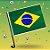 Bandeira Para Carro - Brasil - Copa do Mundo - 35x48cm - 12 unidades - Rizzo - Imagem 1