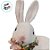 Enfeite Decorativo de Páscoa - Coelho com Colar de Flores - 22x29x14cm - 1 unidade - Cromus - Rizzo - Imagem 5