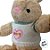Coelho de Pelúcia Bege com Blusa Happy - Branco e Verde - 38,5x24x14cm - 1 unidade - Rizzo - Imagem 2