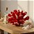 Enfeite Decorativo de Resina - Coral - Vermelho - 13,5x8,5cm - 1 unidade - Rizzo - Imagem 1