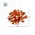 Enfeite Decorativo de Resina - Coral - Laranja - 13,5x8,5cm - 1 unidade - Rizzo - Imagem 3