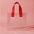 Sacola Transparente PVC com Alça de Couro Vermelho - 25x14x23cm - 1 unidade - Rizzo - Imagem 1