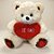 Urso de Pelúcia Grande com Coração e Frase - Branco - 40x41x32cm - 1 unidade - Rizzo - Imagem 1