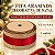 Fita Aramada Decorativa de Natal - Trilho Vermelho com Borda Dourada - 6,3cm x 9,14m - 1 unidade - Rizzo - Imagem 2