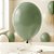 Balão de Festa Latéx Liso - Verde Retrô - 1 unidade - São Roque - Rizzo - Imagem 1