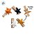 Mini Prendedor Com Imã - Estrela-do-Mar - Sortido - 3,5x2,5cm - 8 unidades - Rizzo - Imagem 4