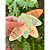 Carimbo Artesanal Diga Oi - P - 2,5x5cm - Cod.RI-079 - Rizzo Confeitaria - Imagem 2