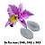 Molde de silicone Veiner Orquídea Superior Ref. 543 Flexarte - Imagem 1