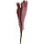 Galho Pampa Permanente - 45cm - Rosa - 1 unidade - Rizzo - Imagem 1