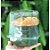 Blister (Forma para Panetone) Transparente 500g Galvanotek Rizzo Confeitaria - Imagem 3