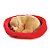Enfeite de Cachorro Golden - Bege e Vermelho - 16cm - 1 unidade - Cromus - Rizzo - Imagem 1