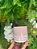Tiras Decorativas Rosa Listras Pretas P com 5un. Rizzo Confeitaria - Imagem 1
