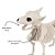 Enfeite de Halloween - Esqueleto Cachorro - 24x30cm - 1 unidade - Rizzo - Imagem 3