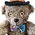 Urso de Pelúcia Bruxo com Som e Movimento - 24x36x15cm - Halloween - 1 unidade - Rizzo - Imagem 4