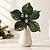 Poinsétia Decorativa - Verde com Glitter - 19cm - 1 unidade - Cromus - Rizzo - Imagem 1