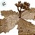 Poinsétia Decorativa - Champagne - 17x16x17cm - 1 unidade - Cromus - Rizzo - Imagem 2