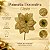 Poinsétia Decorativa - Ouro - 13cm - 1 unidade - Cromus - Rizzo - Imagem 2
