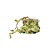Fio Decorativo Juta com Folhas 3m - Rizzo - Imagem 3