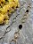 Cinto Corrente - Imagem 1